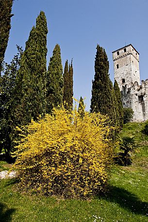 Castello di Villalta